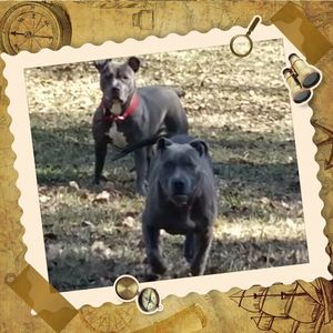 Meet your Posher, Gregory